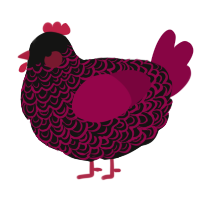 A black and maroon chicken with a double-lace pattern