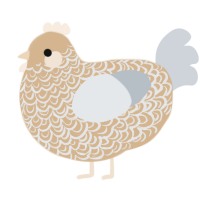 A beige and mist chicken with a double-lace pattern