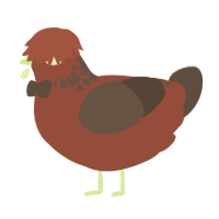 A russet and bark chicken with a neck-speckle pattern