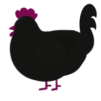 A black chicken with a speckle pattern