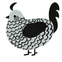 A silver and black chicken with a lace pattern