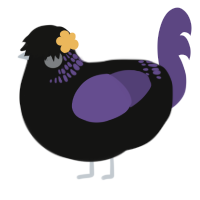 A black and overcast chicken with a neck-band pattern