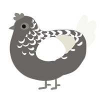 A grey and white chicken with a half-lace pattern