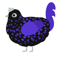 A black and indigo chicken with a speckle pattern