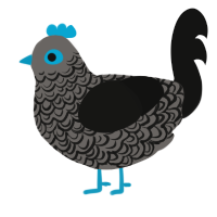 A grey and black chicken with a double-lace pattern
