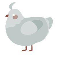 A silver chicken with a head pattern