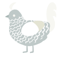 A silver and white chicken with a lace pattern