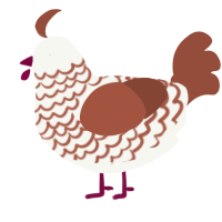 A white and russet chicken with a lace pattern