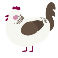 A white and bark chicken with a neck-band pattern