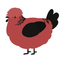 A red and black chicken with a neck-band pattern