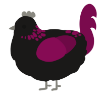 A sable and wine chicken with a neck-speckle pattern
