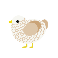 Cortado, a white and beige chicken with a lace pattern