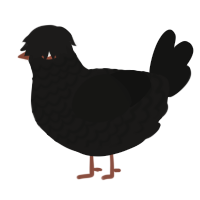 A sable and black chicken with a lace pattern