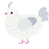 A white and mist chicken with a speckle pattern