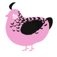 A pink and black chicken with a half-lace pattern