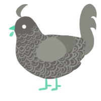 A grey and ash chicken with a double-lace pattern
