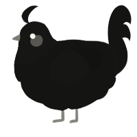 A black chicken with a head pattern