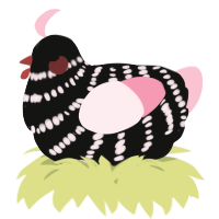 A black and rose chicken with a bar pattern