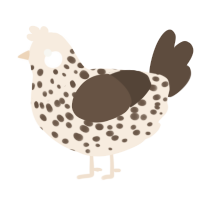 A cream and bark chicken with a speckle pattern