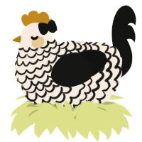 A cream and black chicken with a lace pattern
