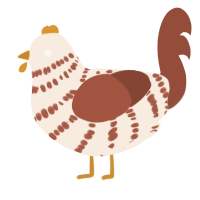 A cream and russet chicken with a bar pattern