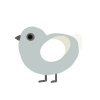 (unnamed), a silver and white chicken