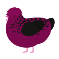 A wine and black chicken with a half-lace pattern