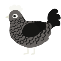 A grey and black chicken with a lace pattern