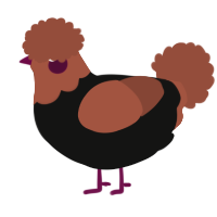 A black and russet chicken with a head pattern