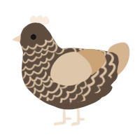 A bark and beige chicken with a lace pattern