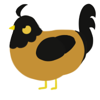 A gold and black chicken with a head pattern