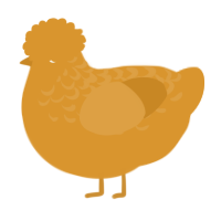 A orange chicken with a half-lace pattern