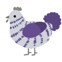 A mist and overcast chicken with a bar pattern