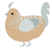 A beige and silver chicken with a half-lace pattern