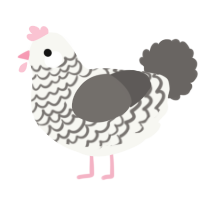 A white and grey chicken with a lace pattern