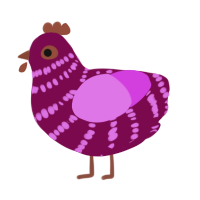 A wine and orchid chicken with a bar pattern