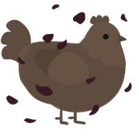 A bark chicken with a head pattern