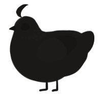 A sable chicken with a neck-speckle pattern
