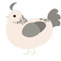 A cream and ash chicken with a neck-speckle pattern
