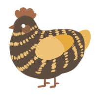 A bark and honey chicken with a bar pattern
