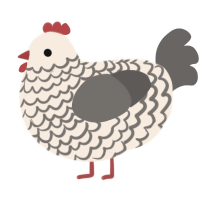 A cream and grey chicken with a lace pattern