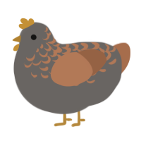 A grey and brown chicken with a half-lace pattern