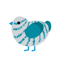 my son he is teal, a mist and sea chicken with a bar pattern