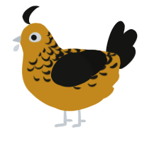 A ochre and black chicken with a half-lace pattern