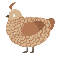 A beige and brown chicken with a lace pattern