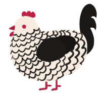 A cream and sable chicken with a lace pattern