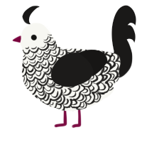 A white and sable chicken with a double-lace pattern