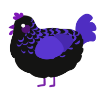A black and indigo chicken with a half-lace pattern