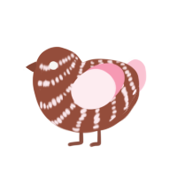 Confection, a russet and rose chicken with a bar pattern