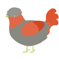 A ash and vermilion chicken with a head pattern